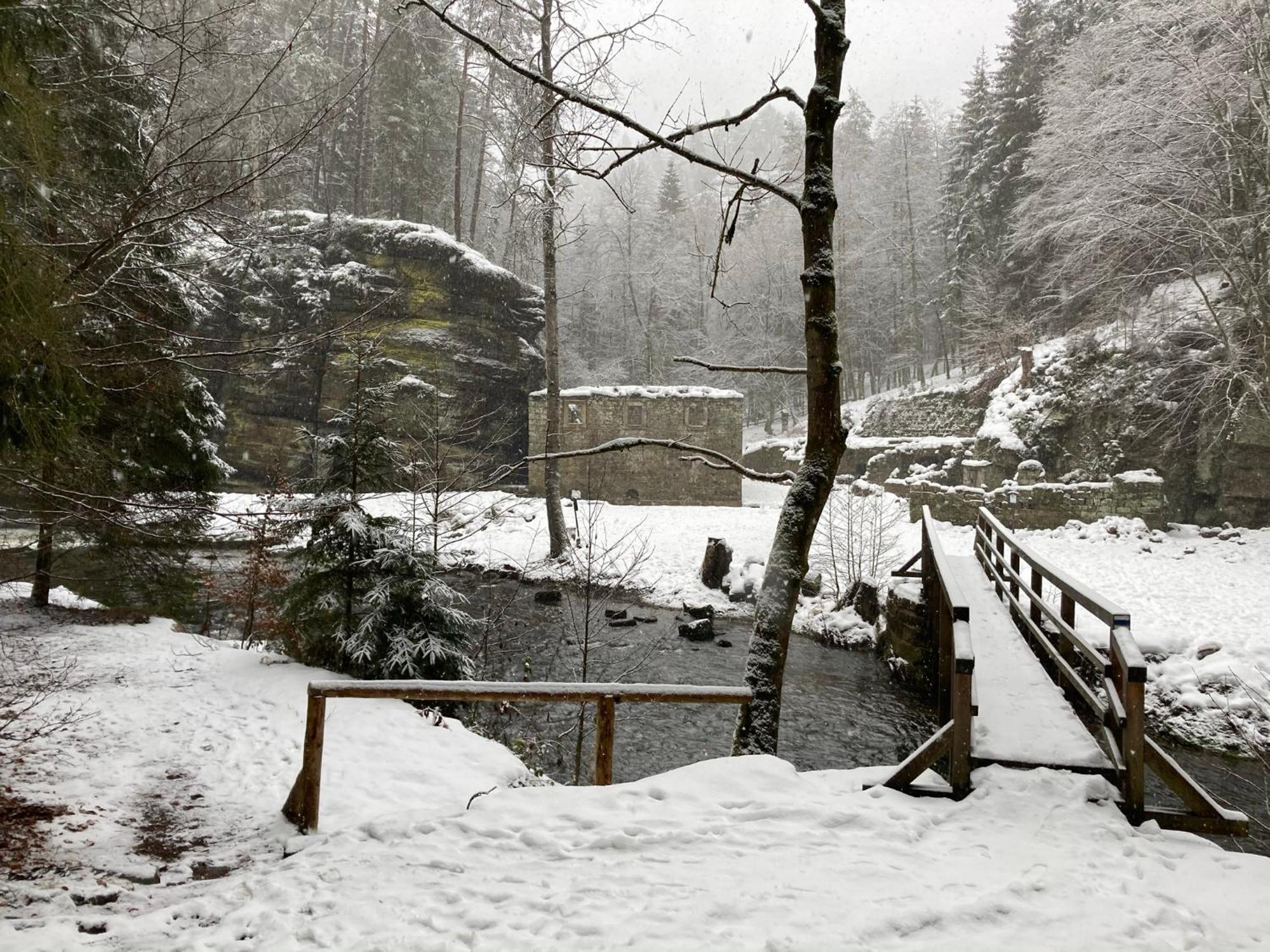 Pension Hofberg Jetrichovice  Luaran gambar