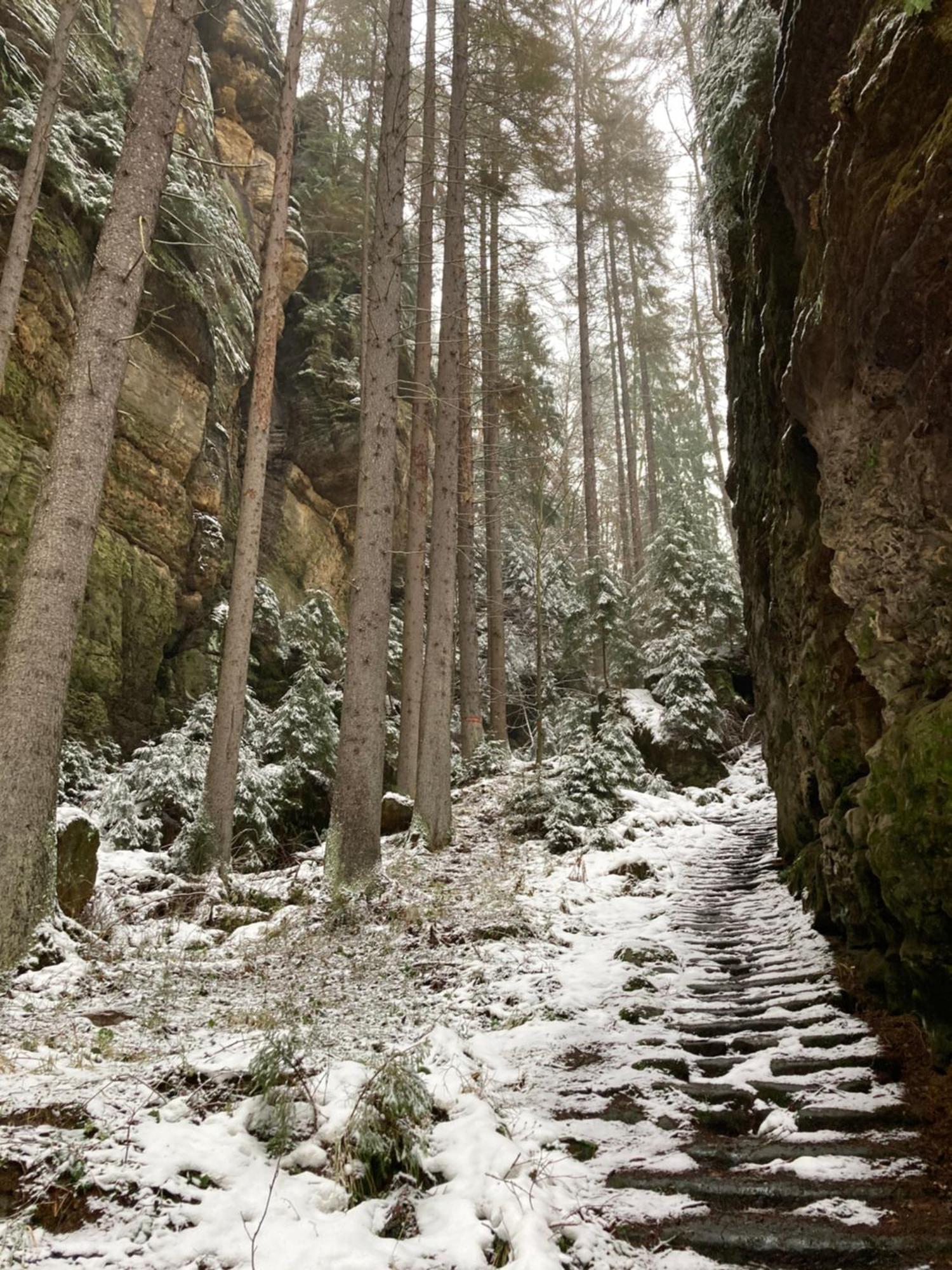 Pension Hofberg Jetrichovice  Luaran gambar