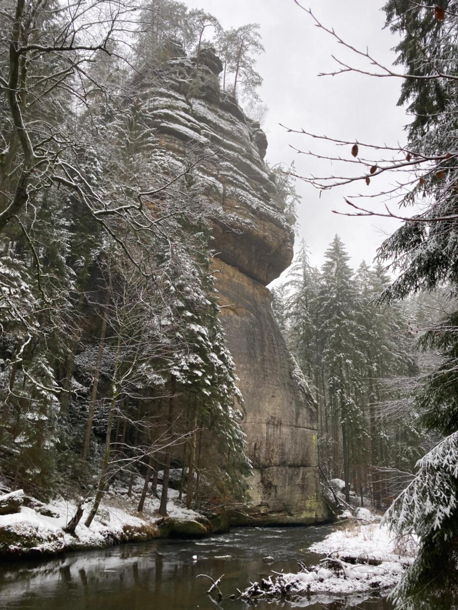 Pension Hofberg Jetrichovice  Luaran gambar